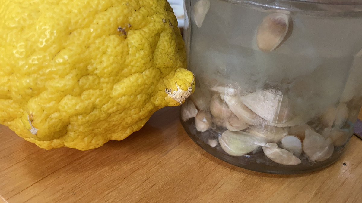 妻から「焼酎にゆず種入れるとペクチンでプルプルになり化粧水になるのよ」と聞いた