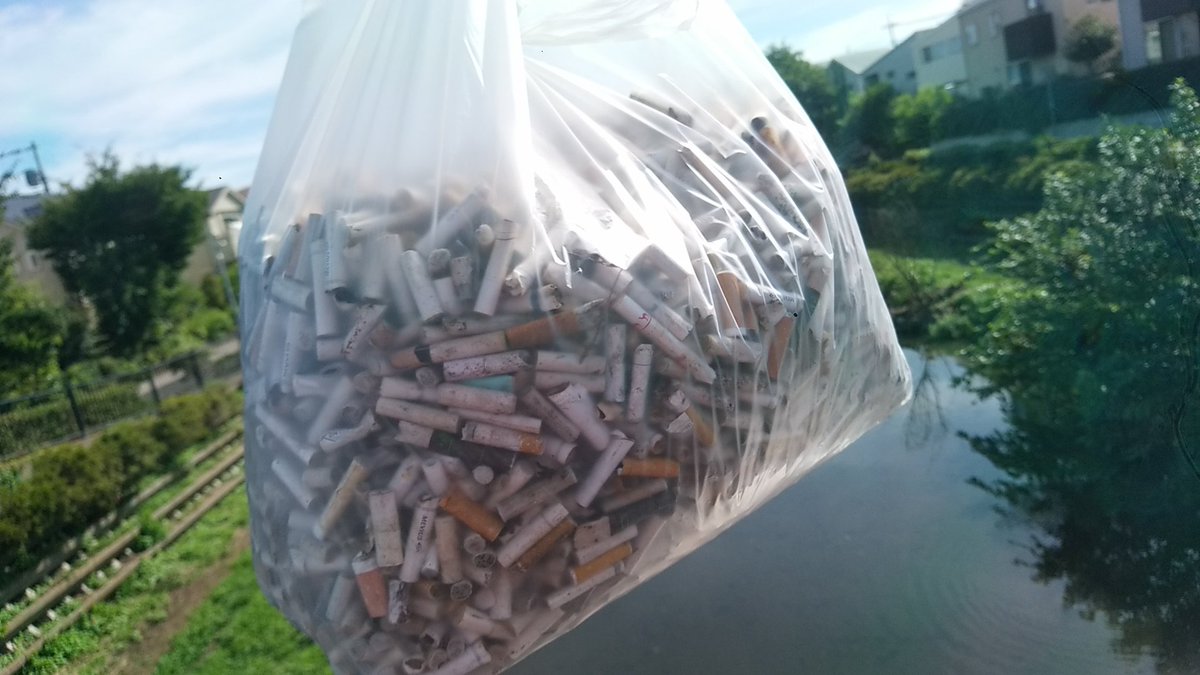 多摩川でコツコツ拾ってきたタバコの吸い殻10000本です