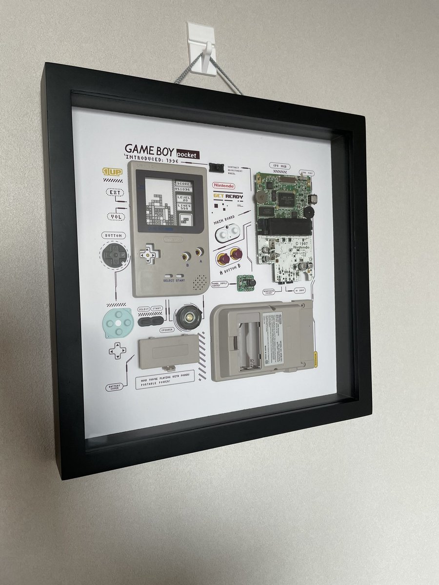 壁に飾るゲームボーイの剥製を買ったけどとてもオシャレ 