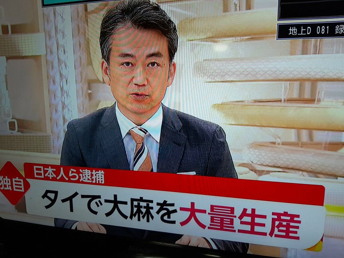ビシバシチャンプみたいと思った瞬間脳内で「説明！」って再生された 