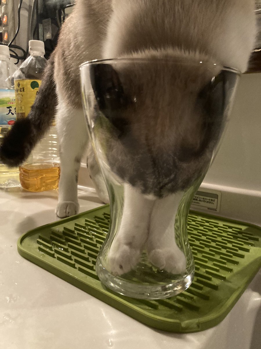 待て！銀次朗！  それ以上行くとこの世界に戻れなくなるぞ！ 