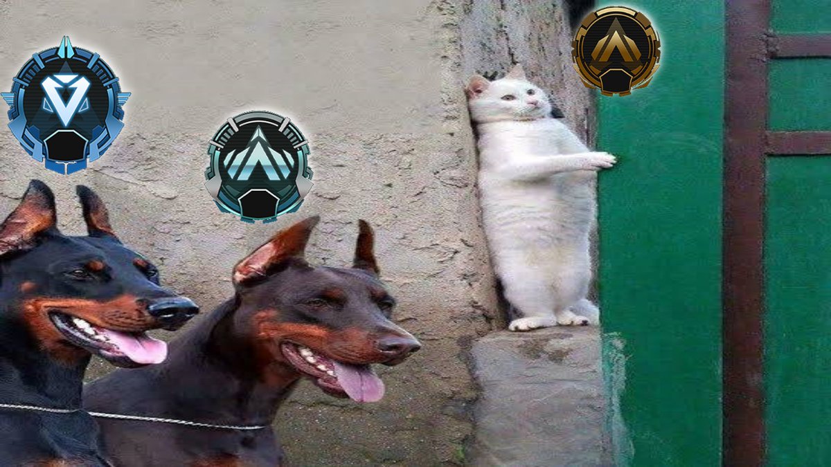 お盆休みも全てランクに費やした各勢力図の現状。 #APEX 