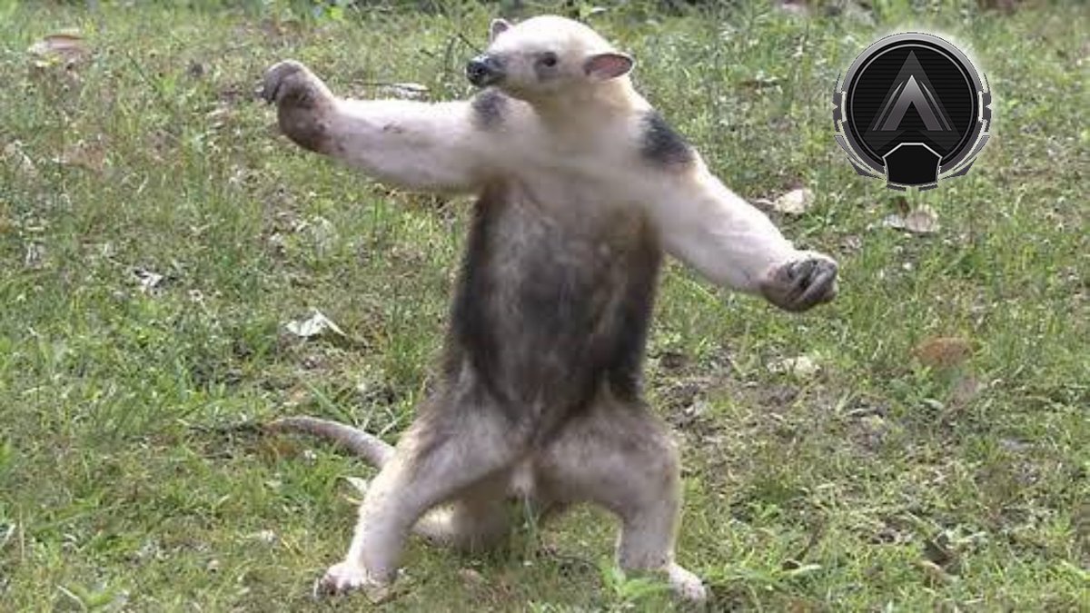 お盆休みも全てランクに費やした各勢力図の現状。 #APEX 