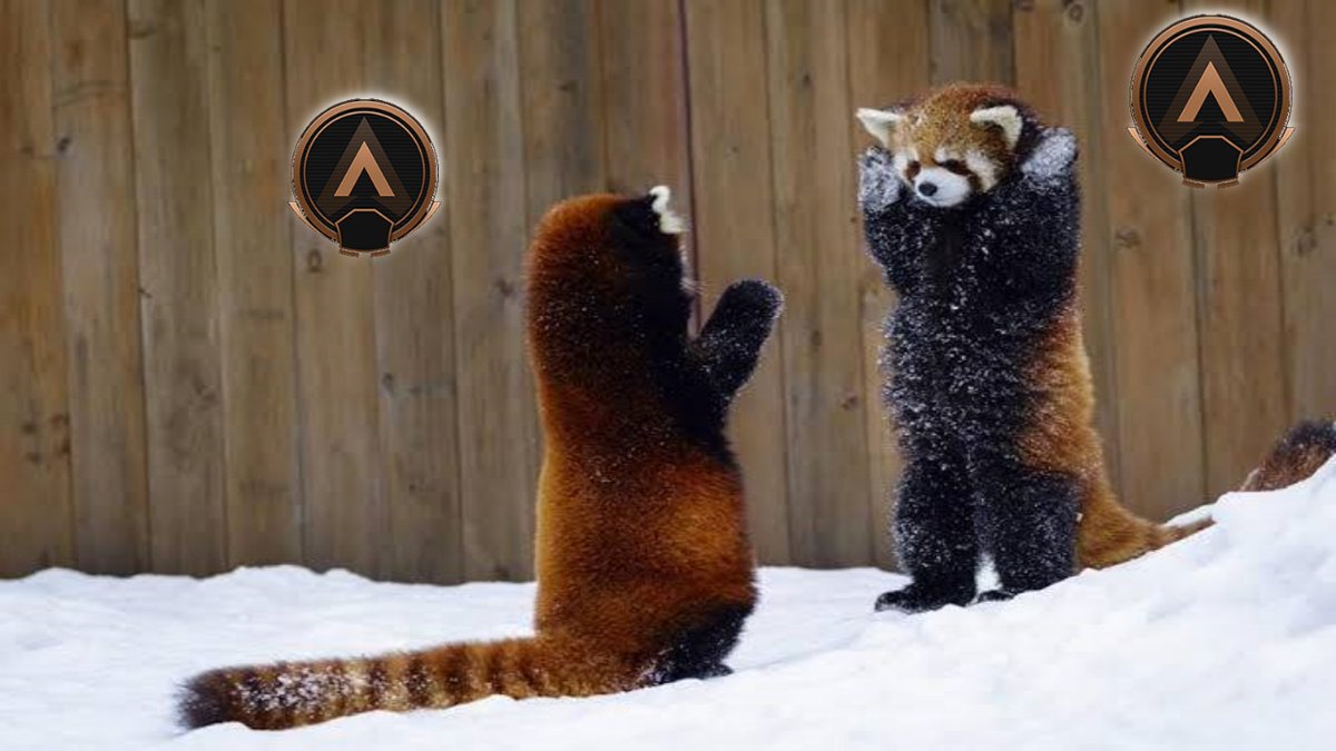 お盆休みも全てランクに費やした各勢力図の現状。 #APEX 