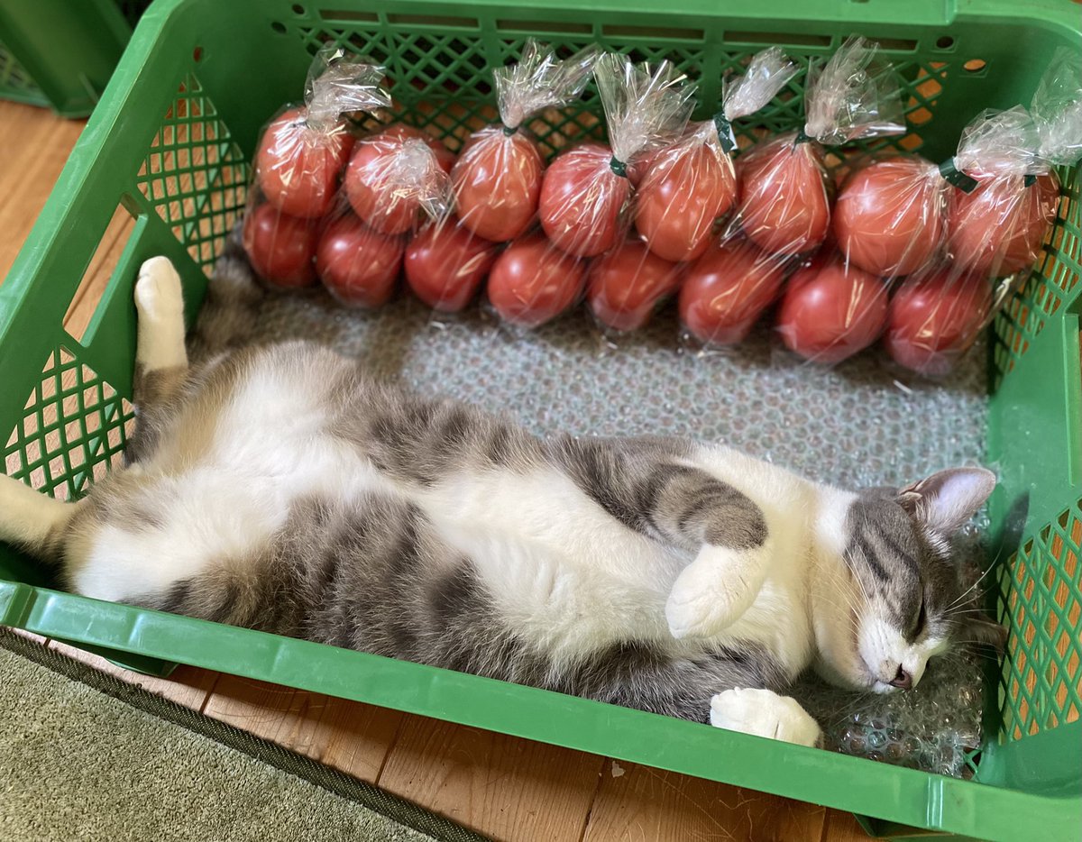 寝ちゃうんかい 