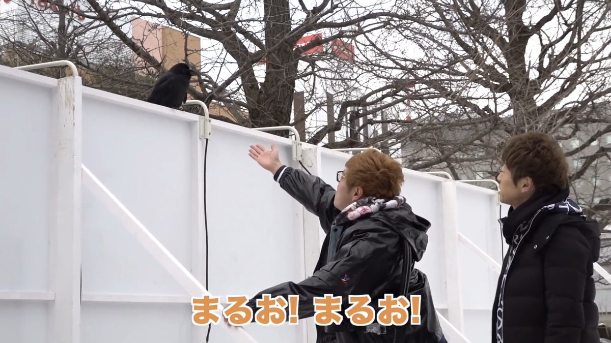 まるおが死んで精神崩壊したヒカキンが周りの動物全部まるおに見えてしまってるようにしか見えない 