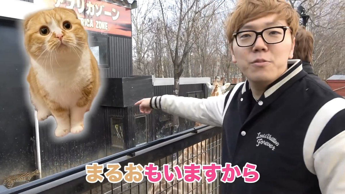 まるおが死んで精神崩壊したヒカキンが周りの動物全部まるおに見えてしまってるようにしか見えない 