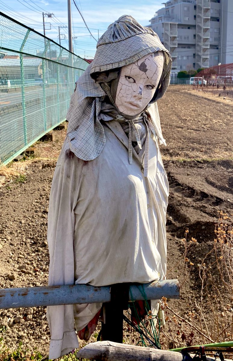 夜に出会わなくて良かった 