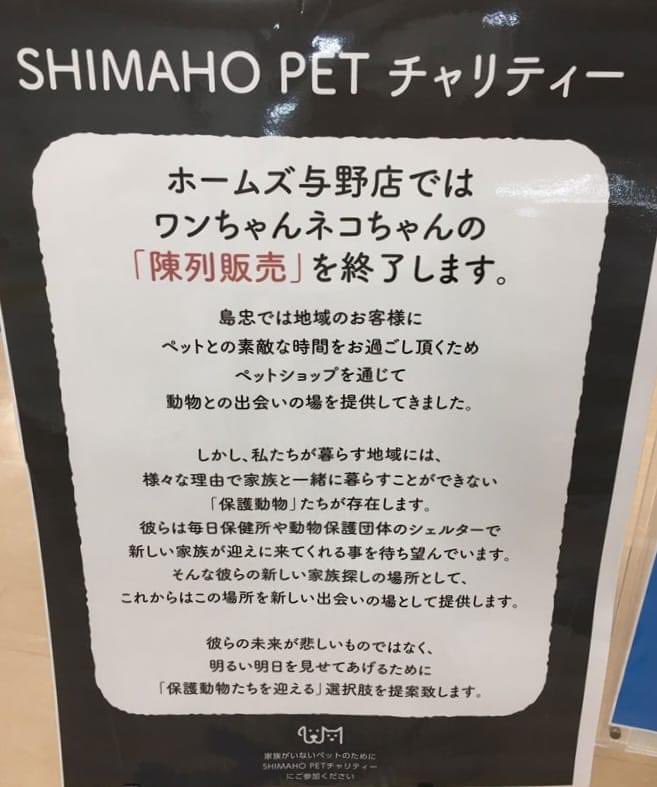 島忠さんに感謝🥲👏  ＃保護猫　＃保護犬　＃譲渡会 