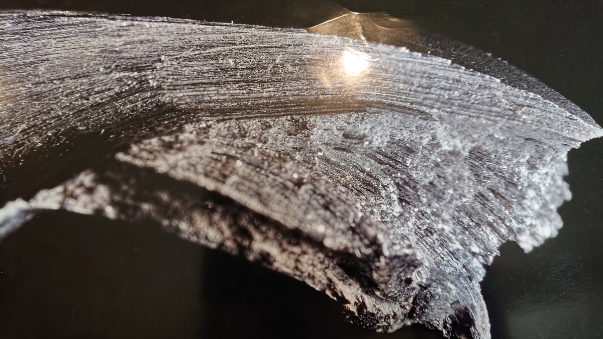 犬江さんからバトン回ってきた時に「いい画像もってそう」と言われ