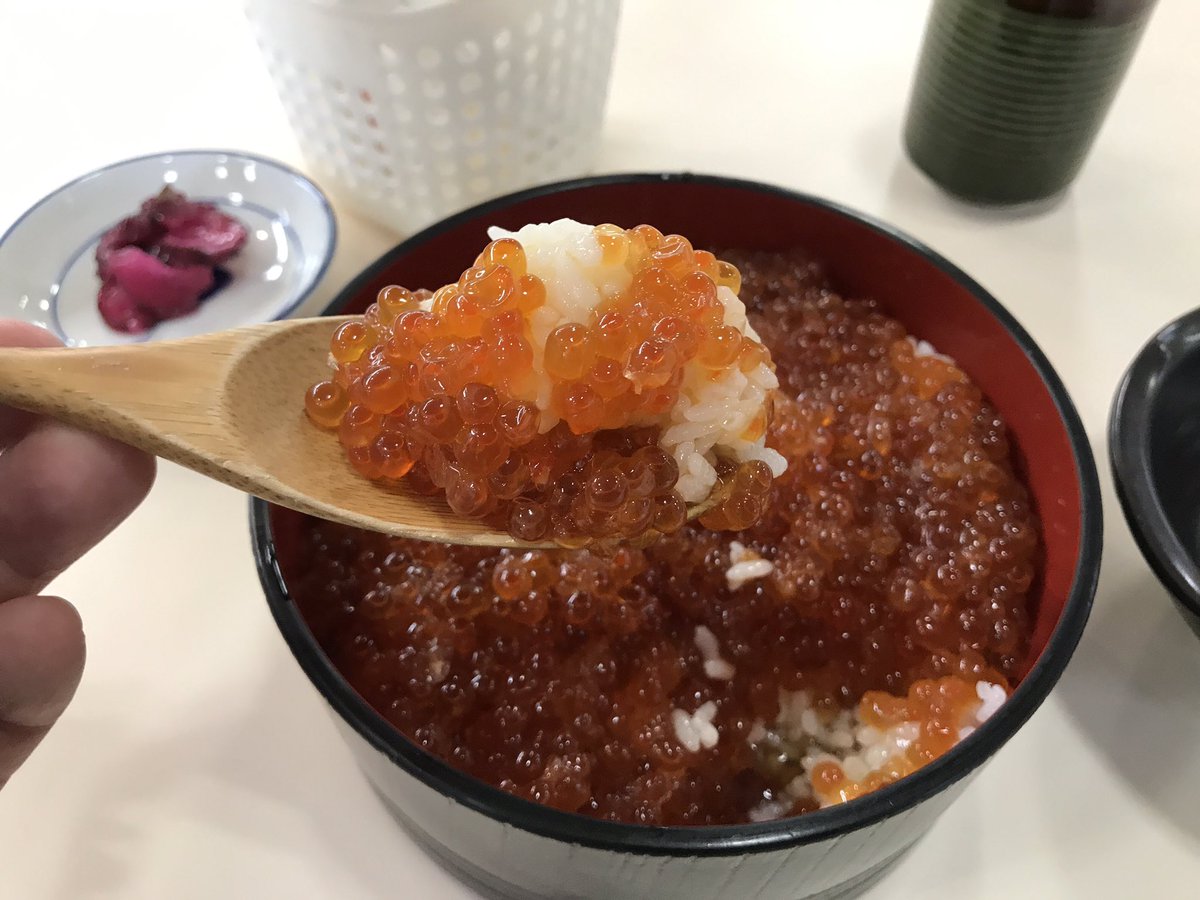 イクラかけ放題で500円⁉︎ マジで⁉︎ #沼津港 #まるが水産 