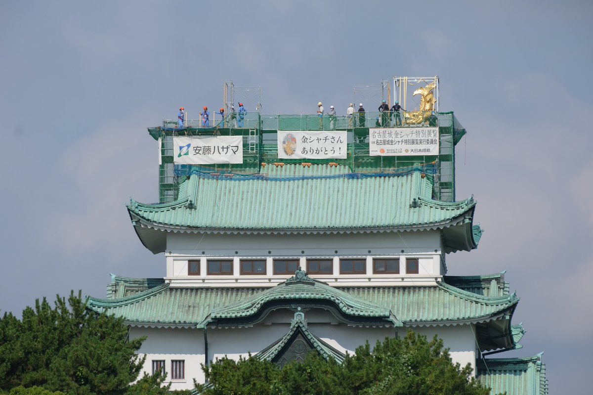 【速報】  金のシャチホコ名古屋城に帰る 
