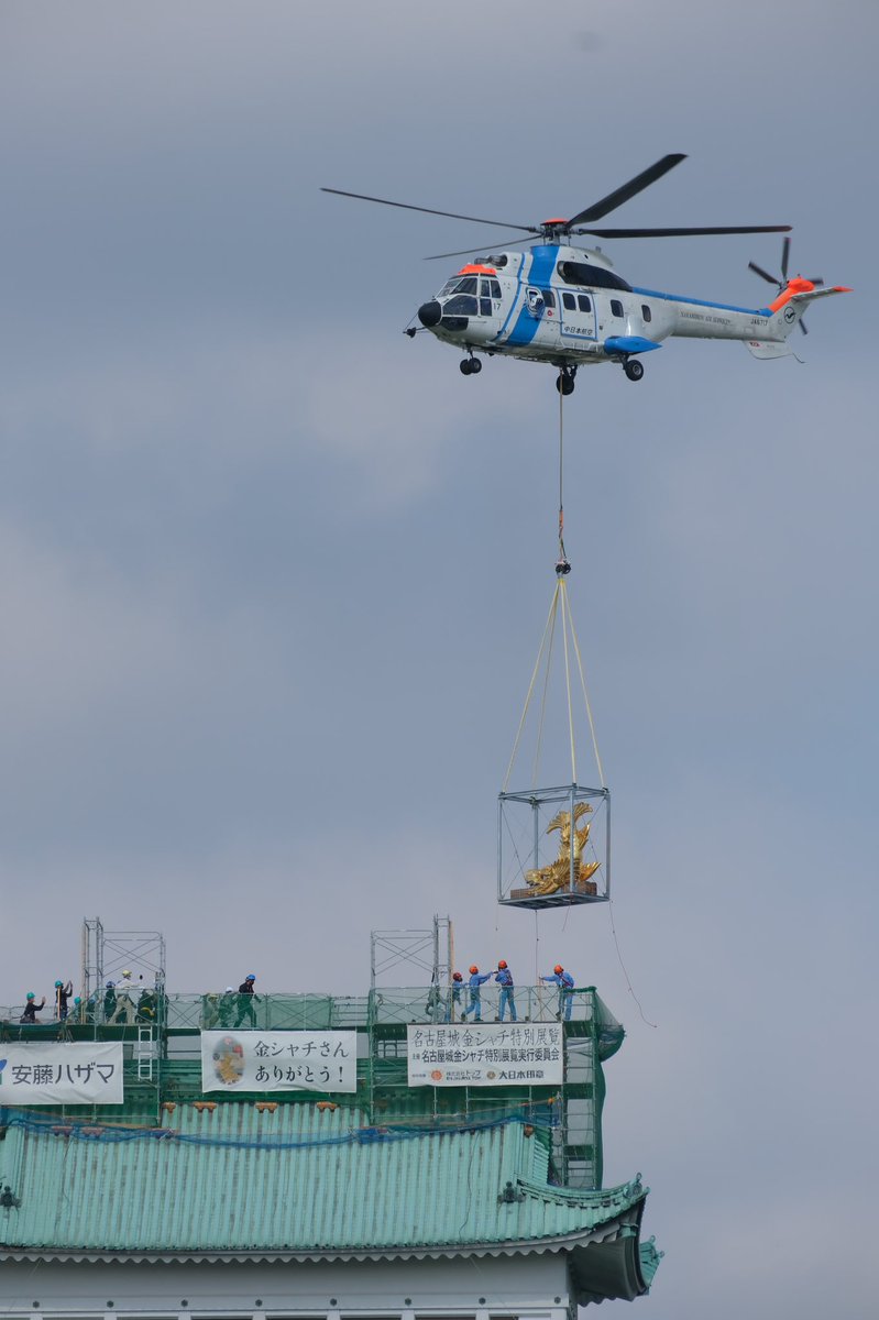 【速報】  金のシャチホコ名古屋城に帰る 