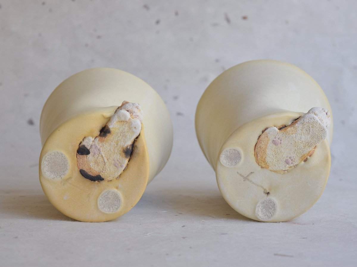 こんなんあったら絶対ひっくり返して裏を見たくなるでしょ