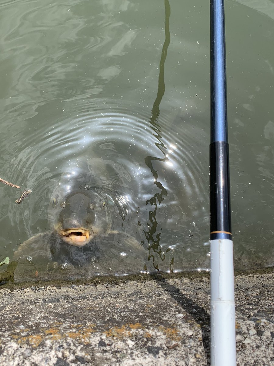  ってスゲー煽られるんやけど(  #`꒳´ ) 