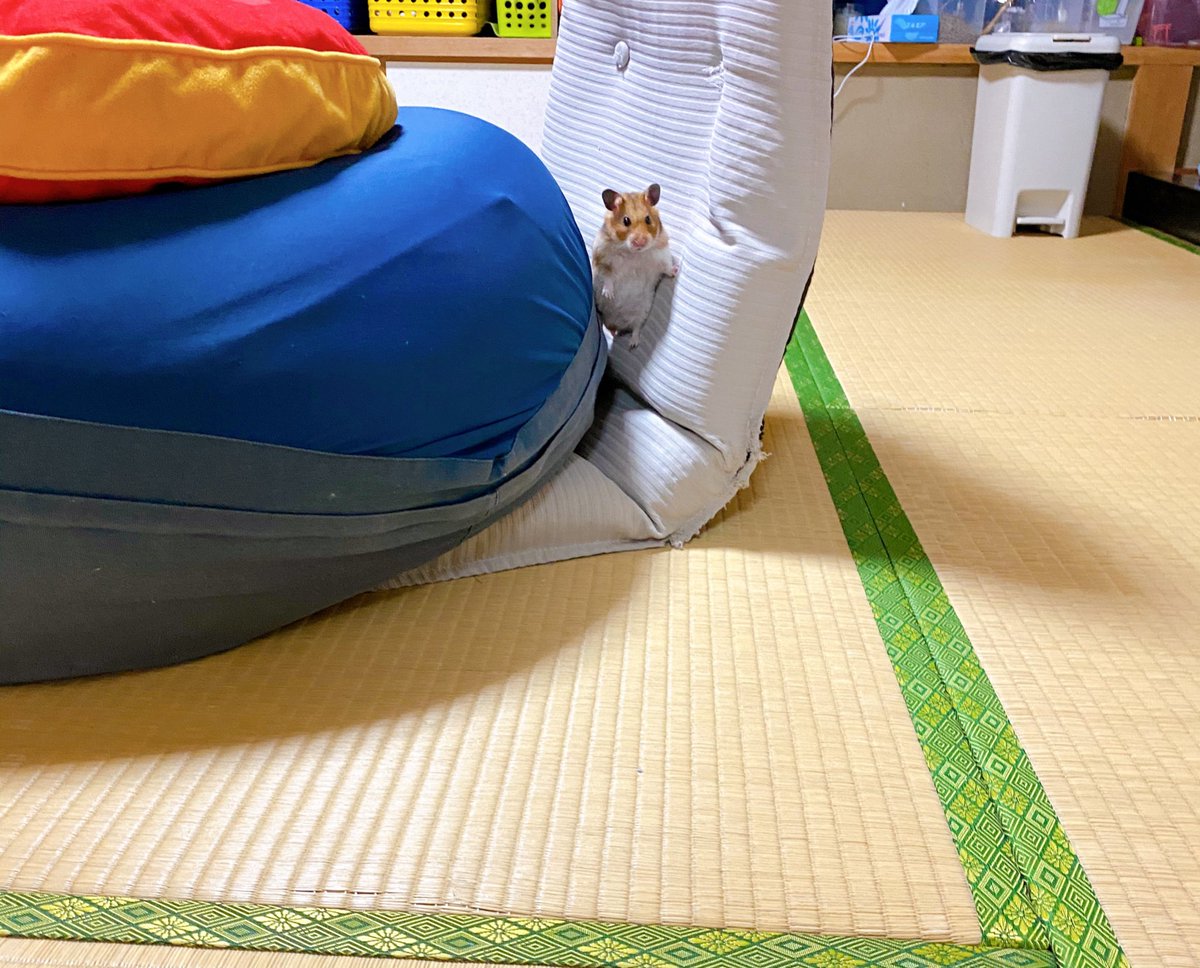 なんのアピールなのか教えてもらえますかね… 