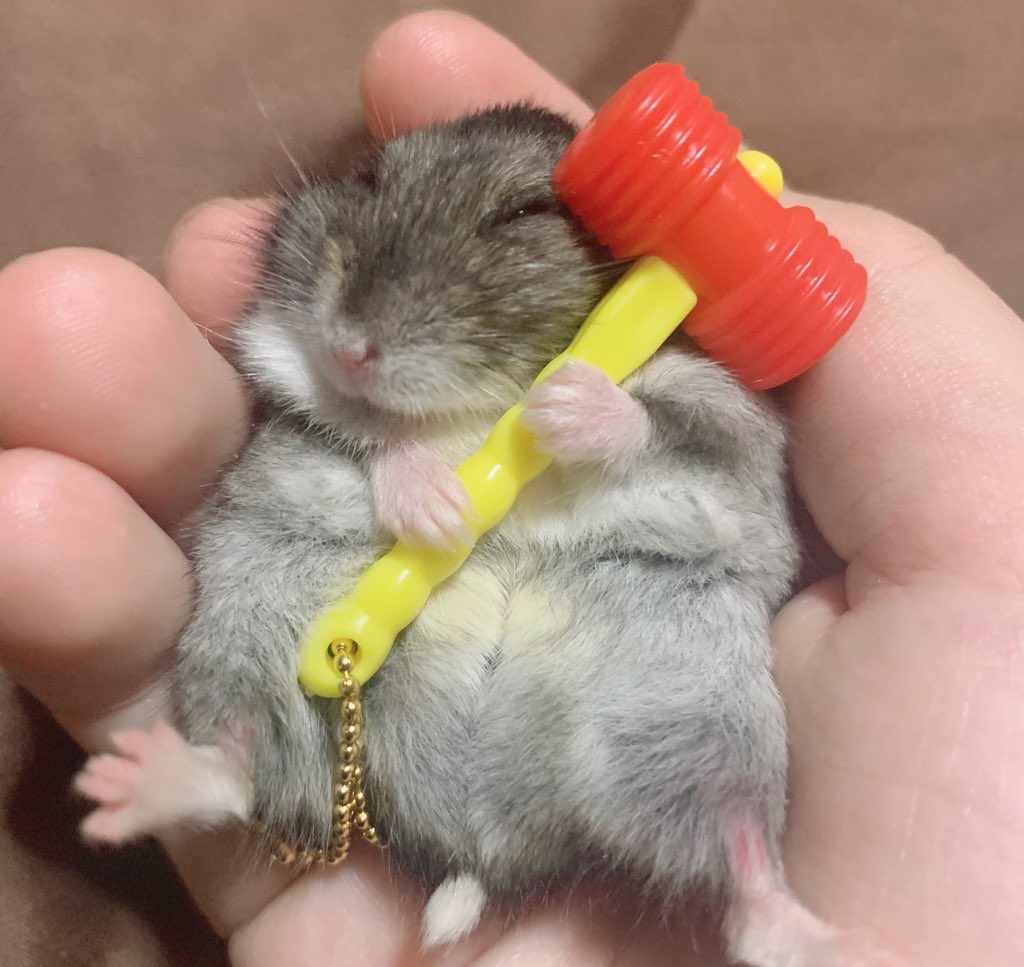 ピコピコハンマー 