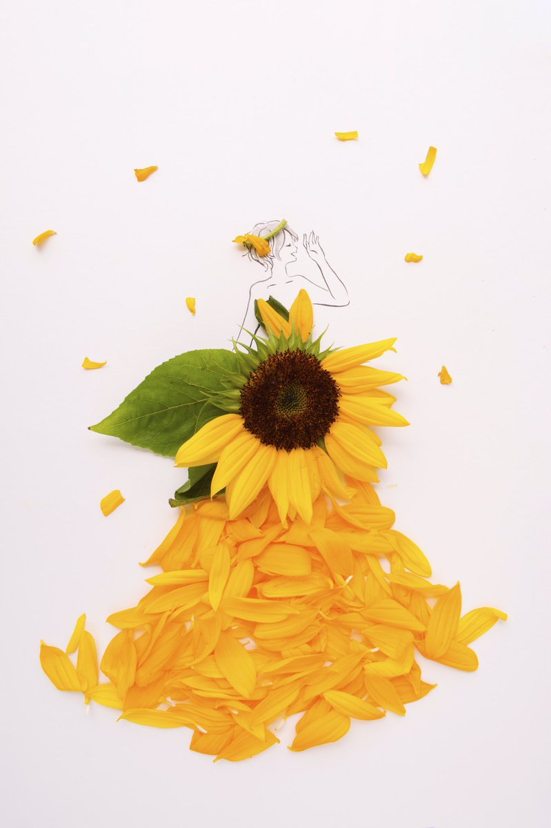 きょう8月31日は 野菜の日 宿題の日 空き家整理の日 ベジタブルデー I Love Youの日 誕生花はヒマワリ 花言葉 「あなたは素晴らしい」 「あなただけを見つめる」