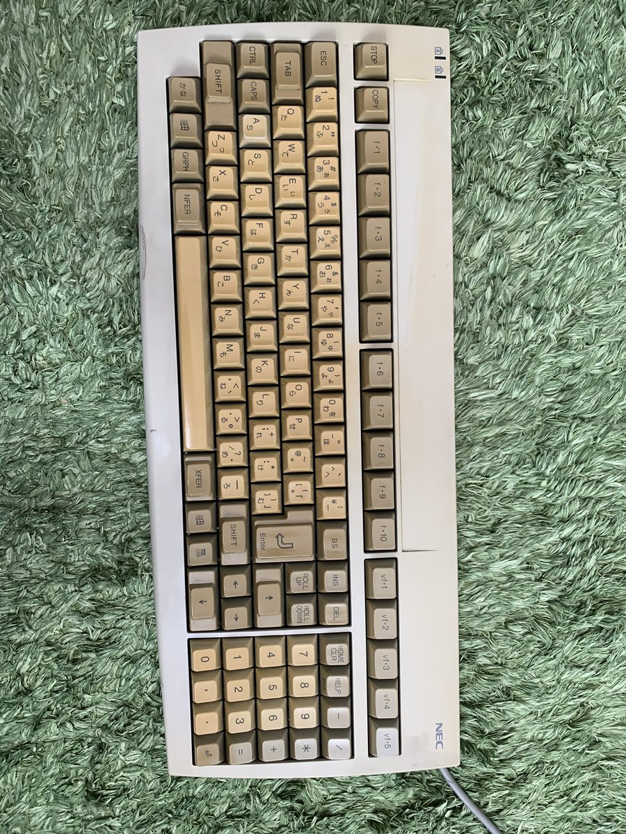 黄ばみは、ワイドハイターEXに漬けたまま日光に数日〜数週間当てると元の色になる