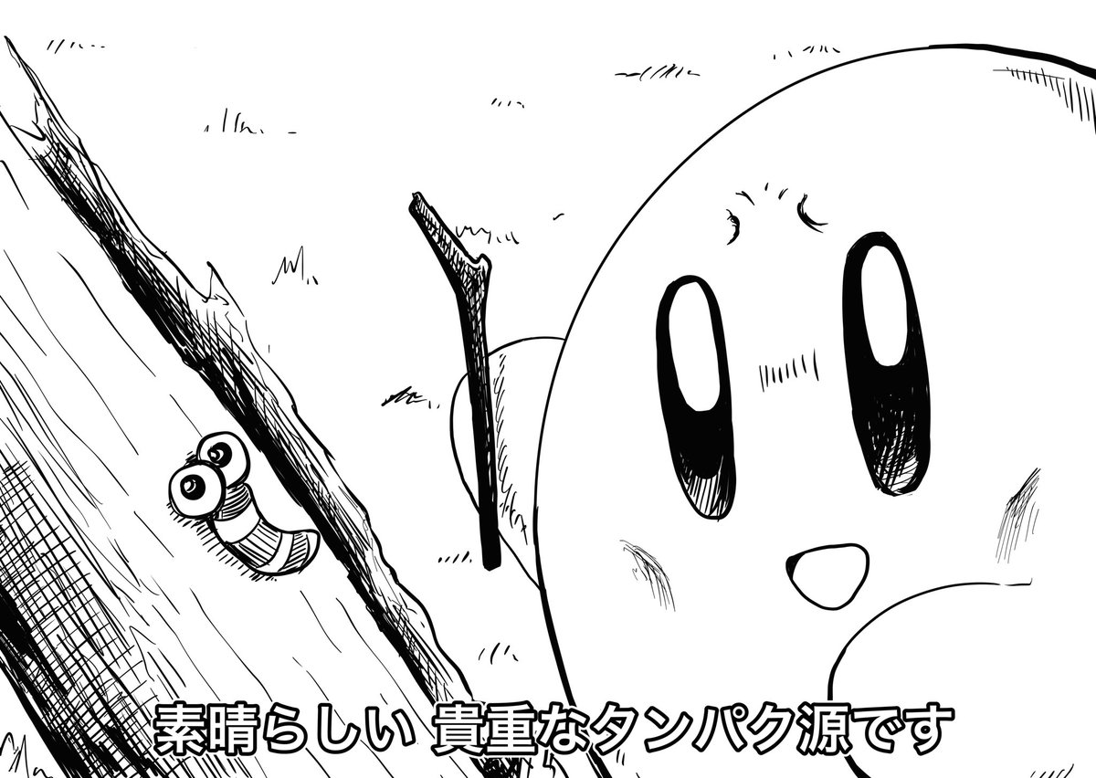 星のカービィ ディスカバリーチャンネル 