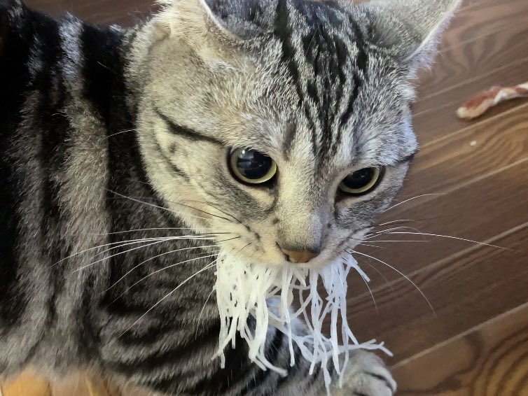 大根のつまを強奪されました 