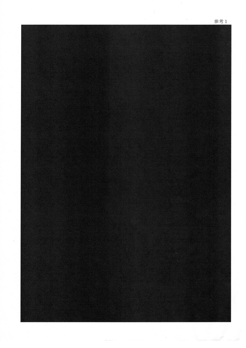 30日の延長期間を経て出てきた文書の内容と画像は次の通りです
