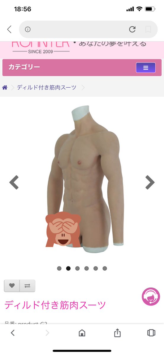 フォロワーさんが例の筋肉スーツ買おうか悩んでて今いくらくらいかなぁってホームページ見たらとんでもない進化してた 