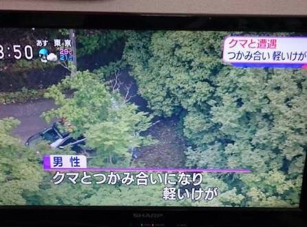 平成で話題になった最強の日本人４人 