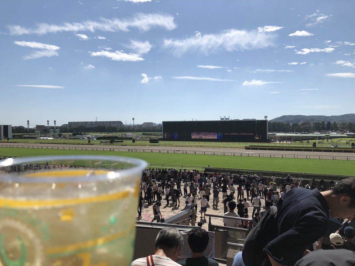 競馬場のことまだ勘違いしてる人いるかもしれないからはっきり言っておく 景色の良い居酒屋です 