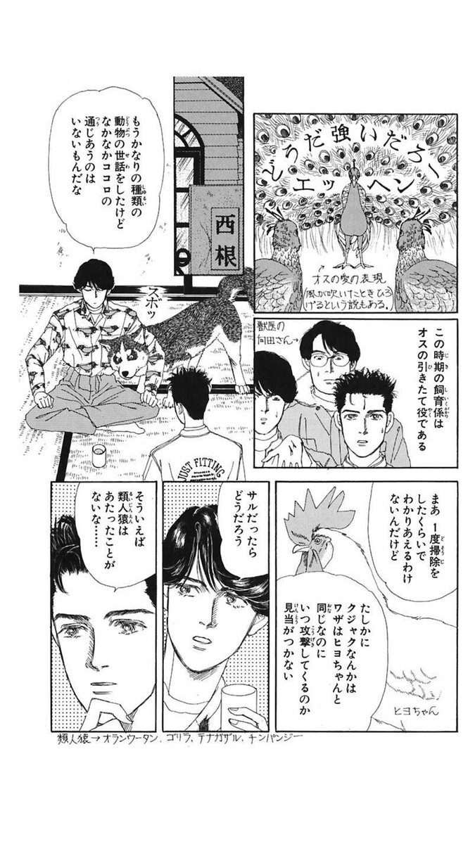 天王寺動物園の新園長、ハムテルと二階堂のM山動物園実習回に出た向田さんだった  