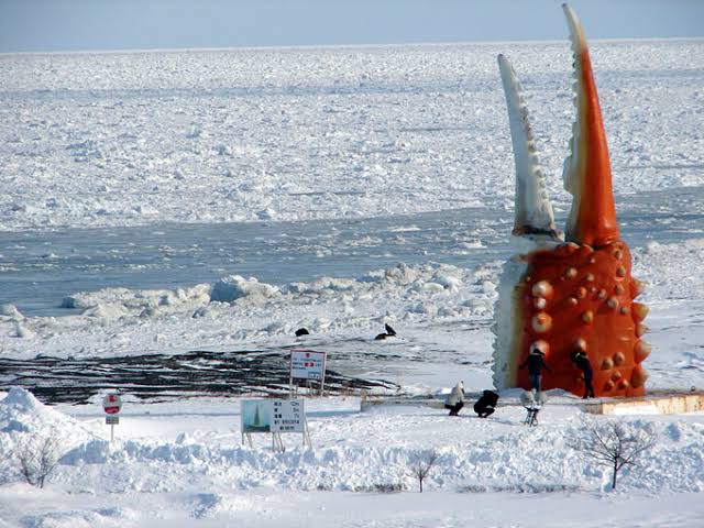 能登のイカ 天草のタコ 志摩のエビ 紋別のカニ 