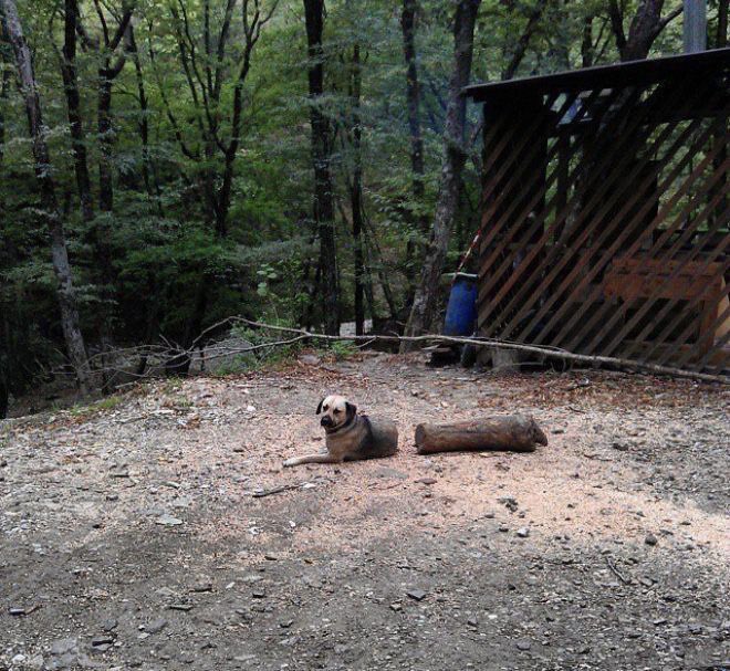 一瞬ひぇってなった 