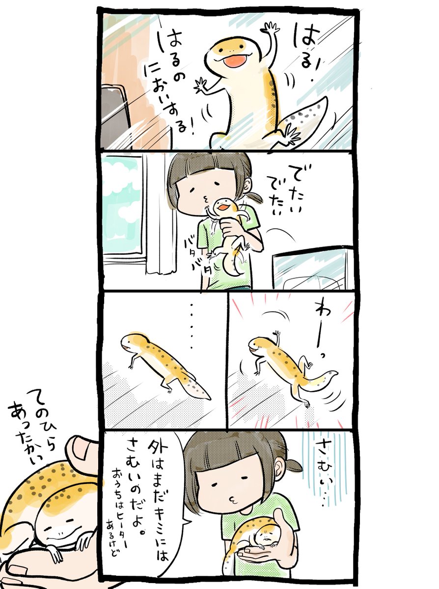 今日のとかげちゃん 