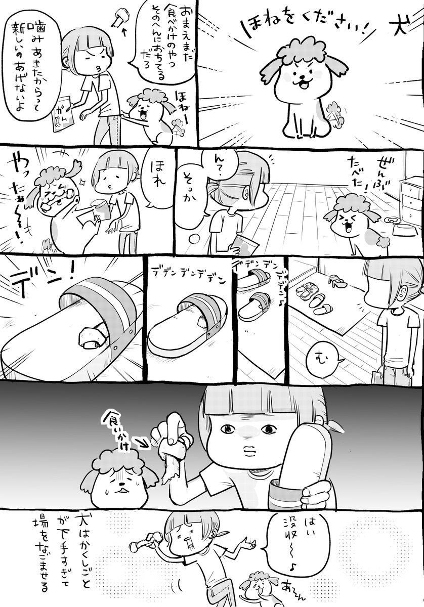 犬と猫どっちも飼ってると、ひっそりこっそりのかくし事も毎日たのしい 