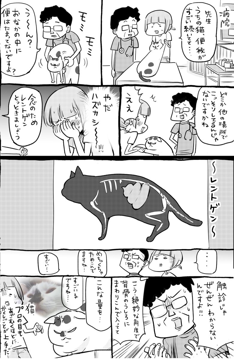 犬と猫どっちも飼ってると、ひっそりこっそりのかくし事も毎日たのしい