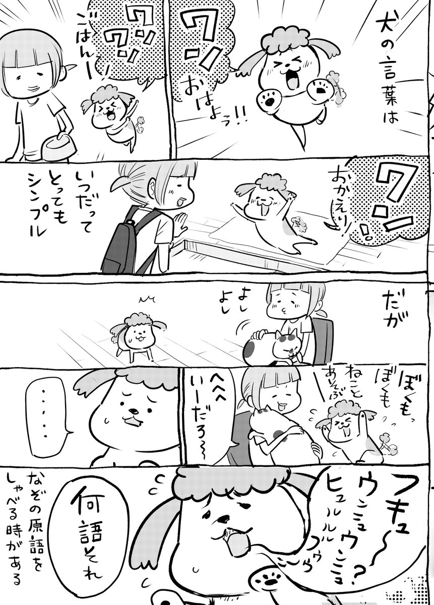 犬と猫どっちも飼ってると、唐突なおしゃべりが毎日たのしい。 