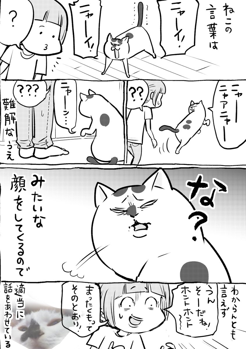犬と猫どっちも飼ってると、唐突なおしゃべりが毎日たのしい。 