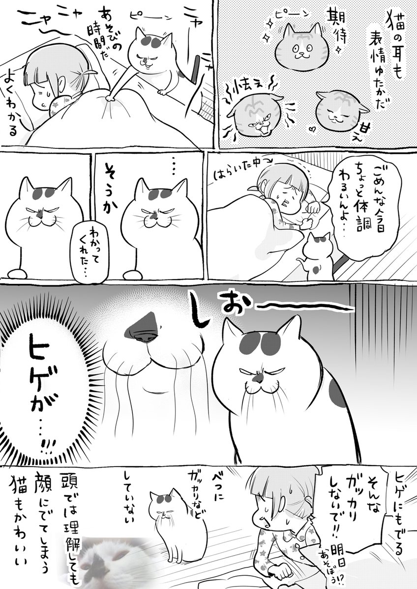 犬と猫どっちも飼ってると、お耳ピンピンで毎日たのしい 