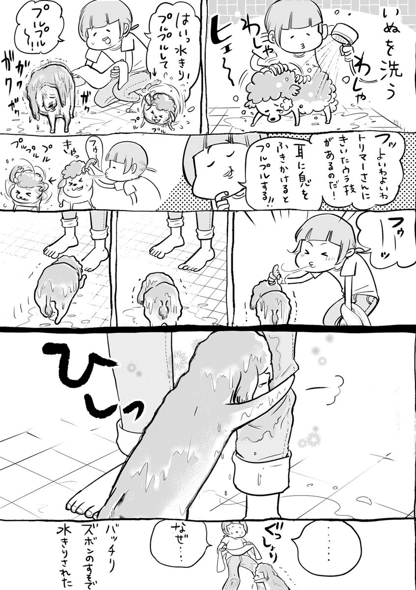 犬と猫どっちも飼ってると、おもわぬ動きで毎日たのしい 