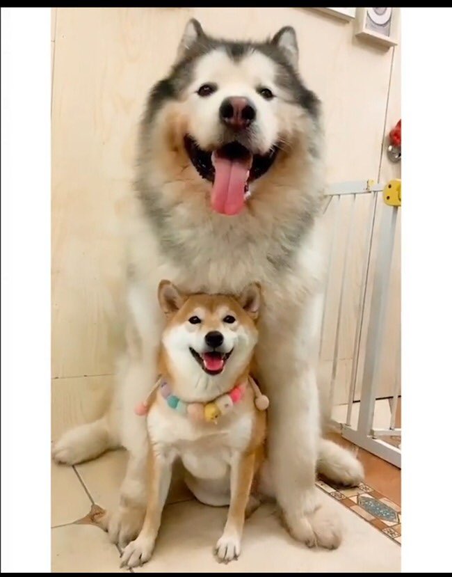 一年で立場逆転。笑笑笑笑 