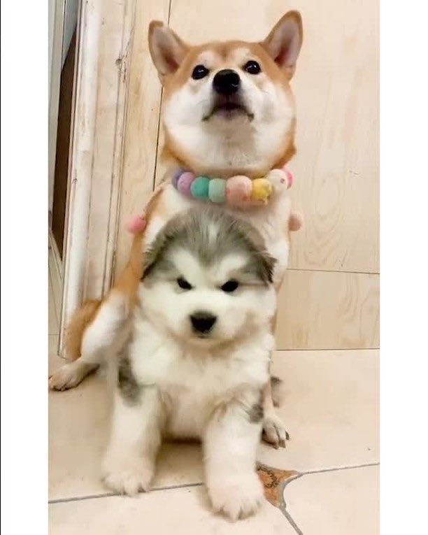 一年で立場逆転。笑笑笑笑 