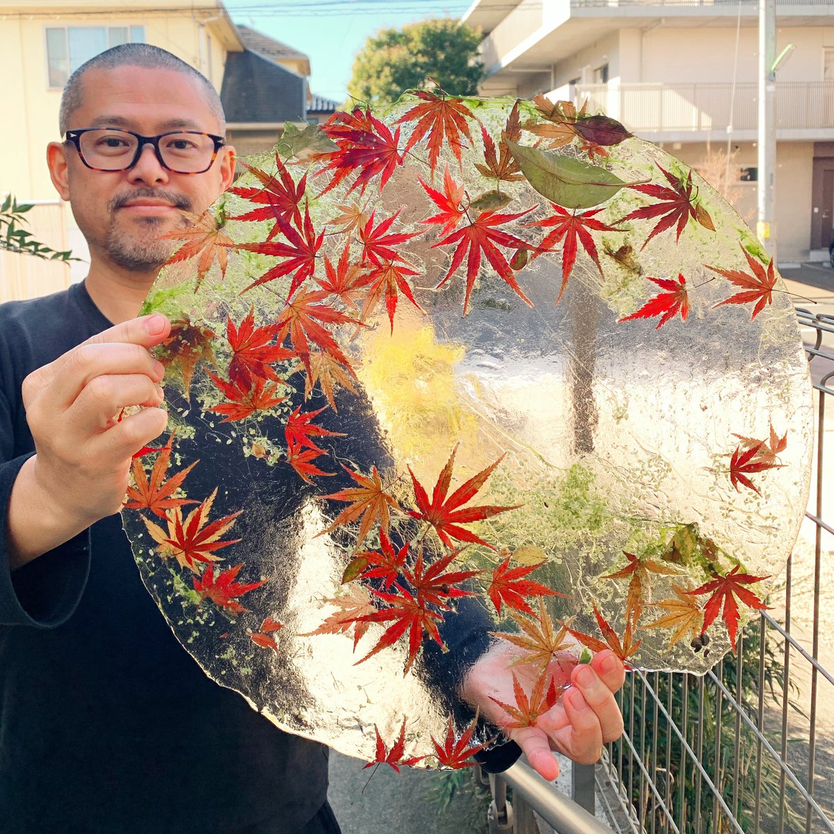 メダカの池が凍って、たまたま横に置いてあったモミジの鉢から葉っぱが落ちていて