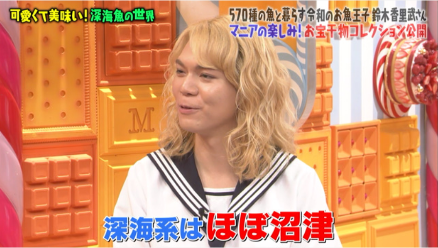 マツコの知らない世界に出てたセーラー服深海魚王子の人 番組では変態て言われてたけど ビョルン・アンドレセンのファンなのではなかろうか 生ラインハルトとかよく言われてた人 