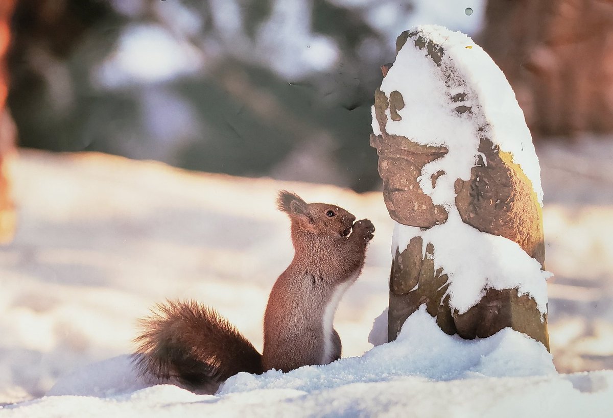 「これすごい可愛いよねぇ」と檀家さんが見せてくれました