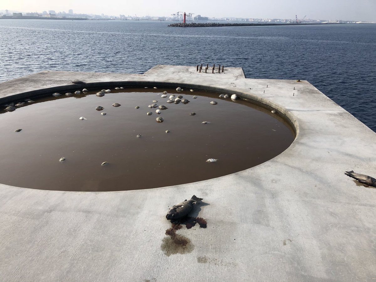 那覇一文字がひどい事になってると報告を受けたので 2日間かけて掃除しに行きました