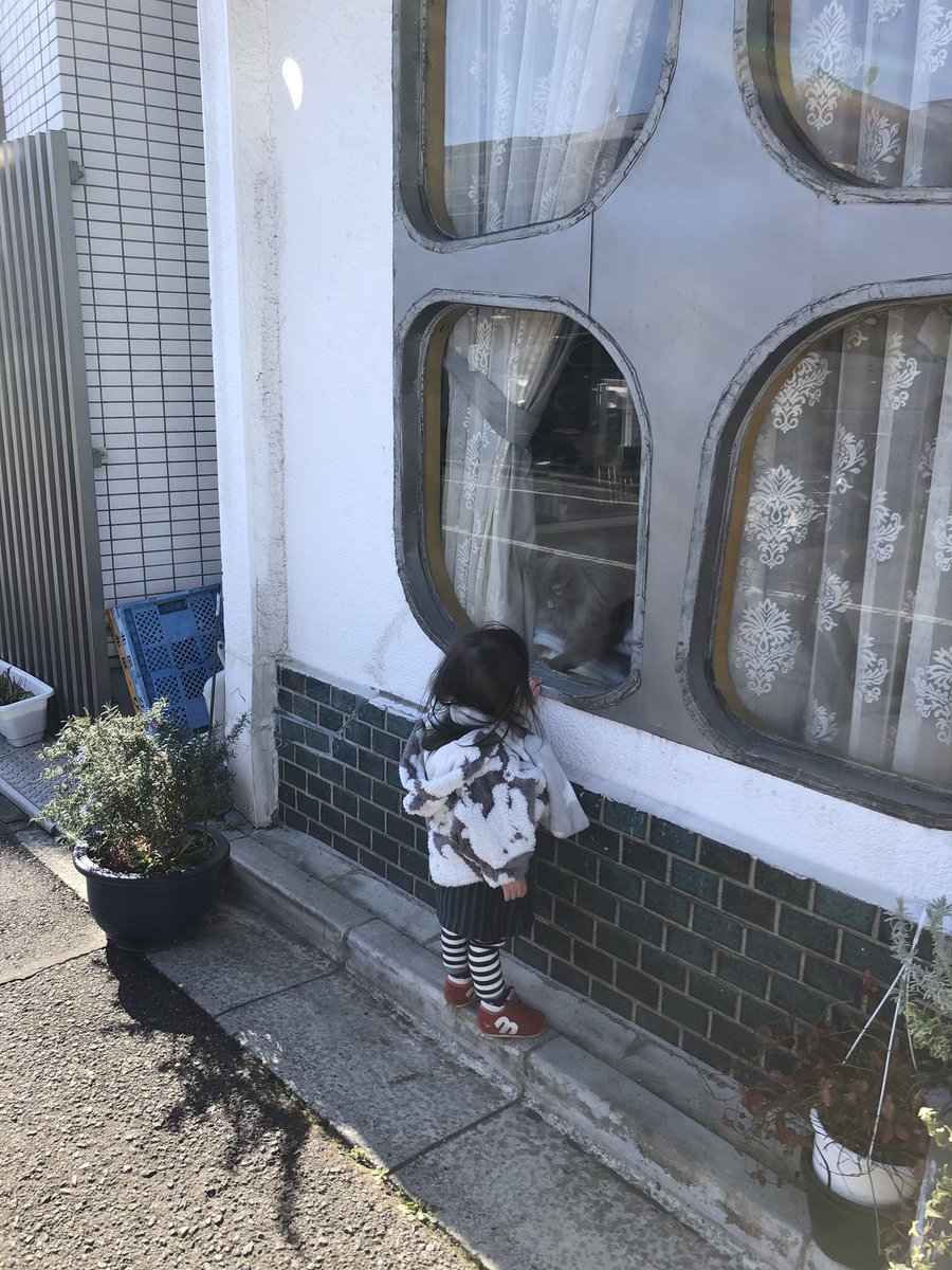 近所の美容室に高貴な猫が二匹いる