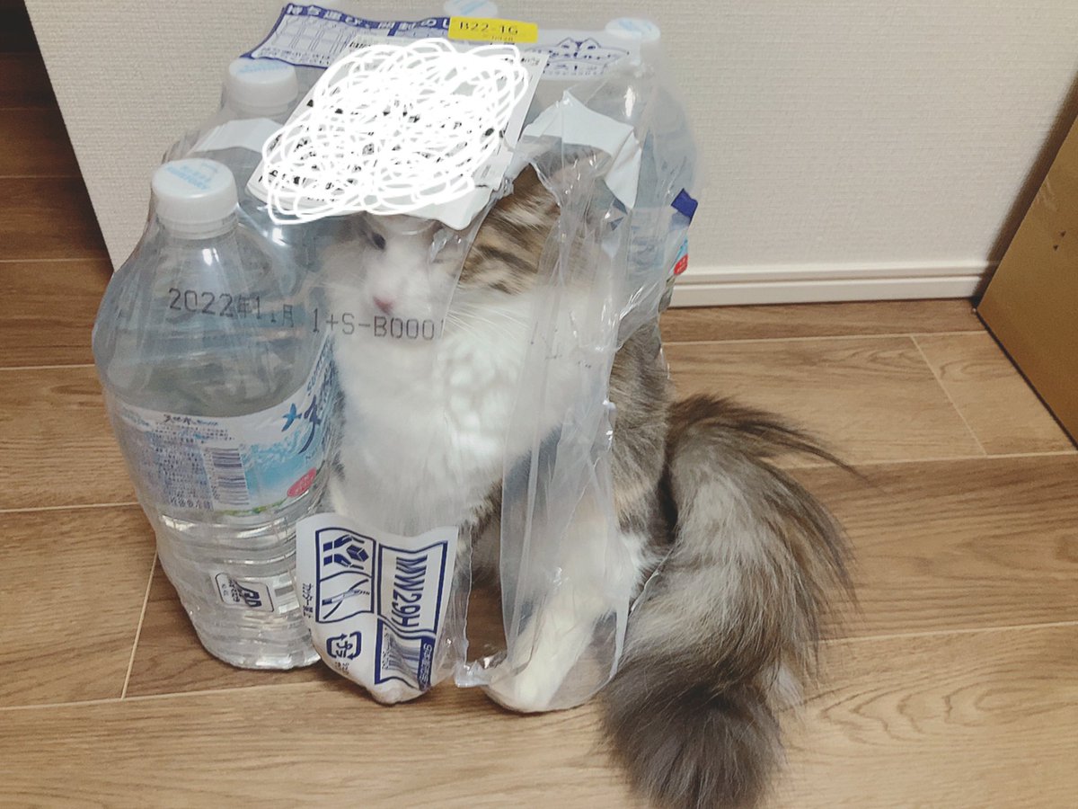 遊んでたら急に天然水に擬態し始めた 