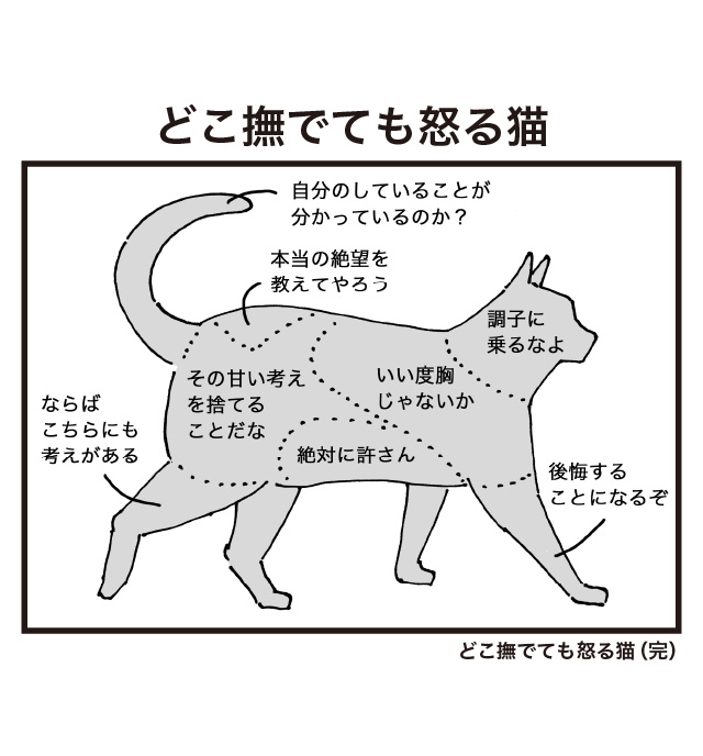どこ撫でても怒る猫 