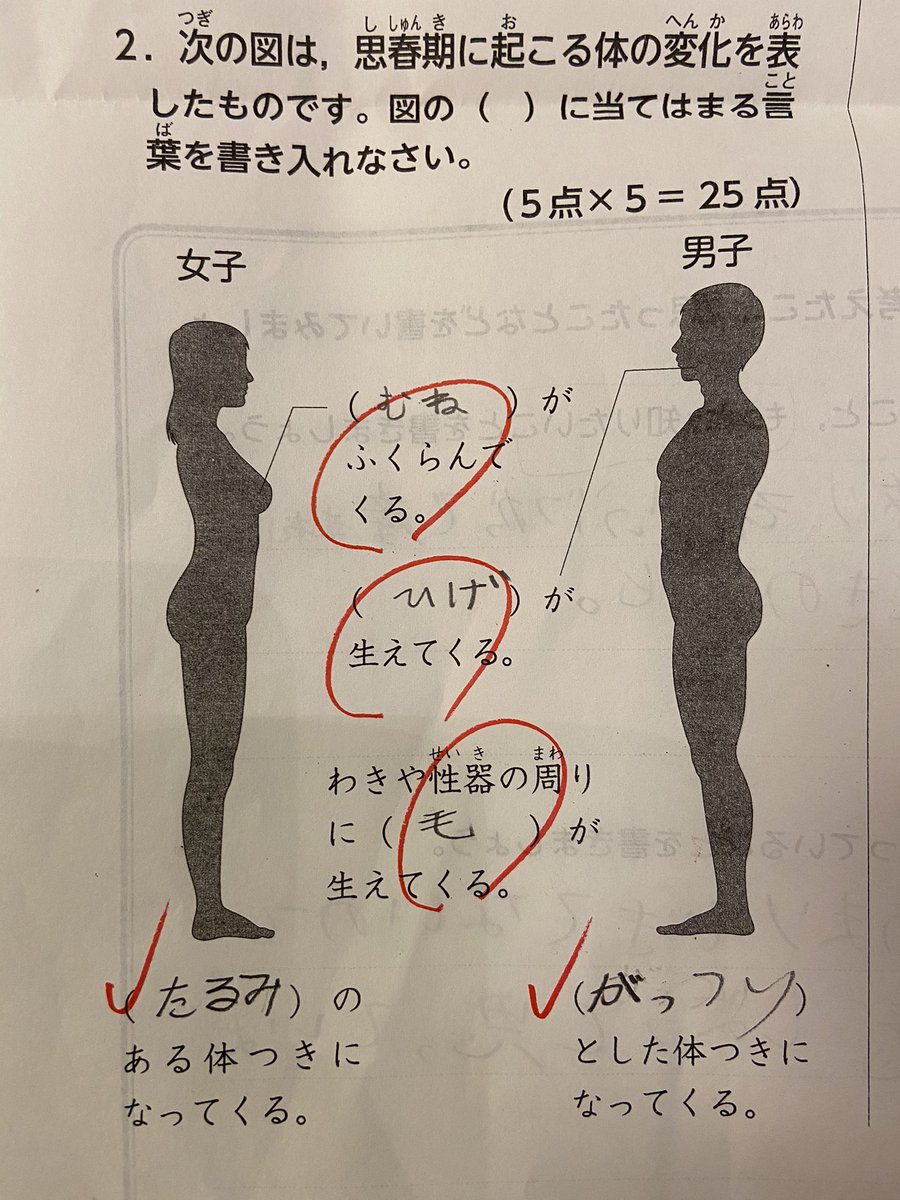 身近な大人の女性が私だったばかりに… 思春期を迎えた女子はたるんでいくと思っている息子… 