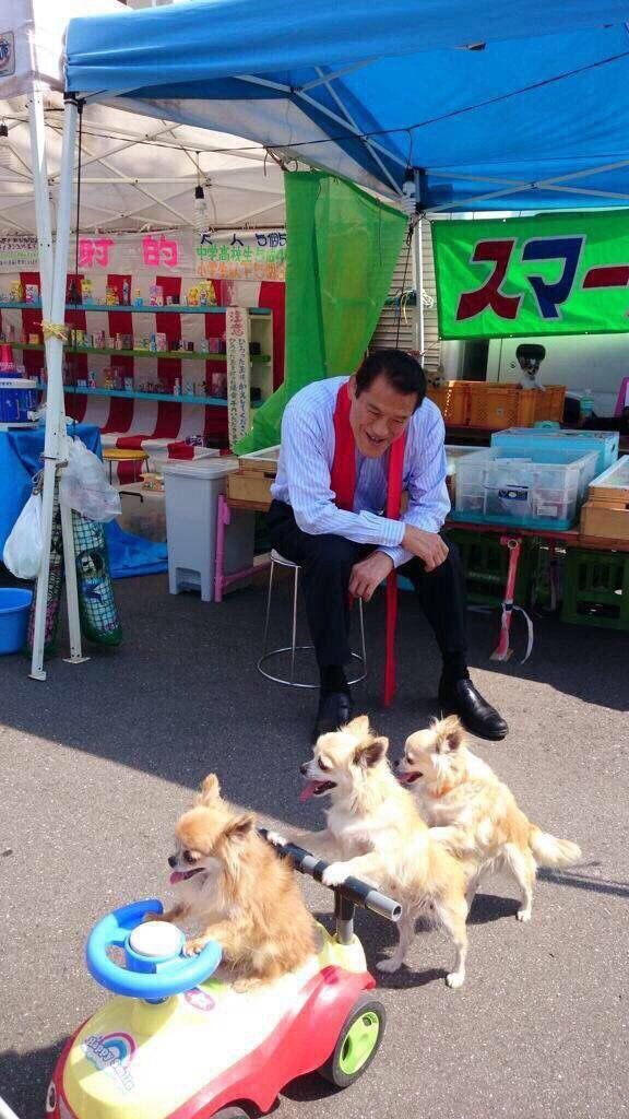 この写真を撮った人、何かしらの賞を貰っても良いと思う